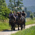 Zollfelder Kulturkutschenfahrt